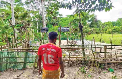মো: রাব্বি মাতব্বর (গোলাম রাব্বি)
