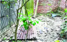 মো: মিজানুর রহমান