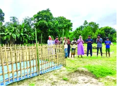 শাহাদাত হোসেন