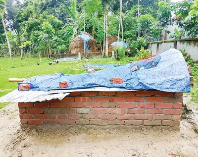 মো: রাব্বী মিয়া