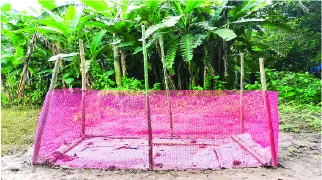 রহমত মিয়া