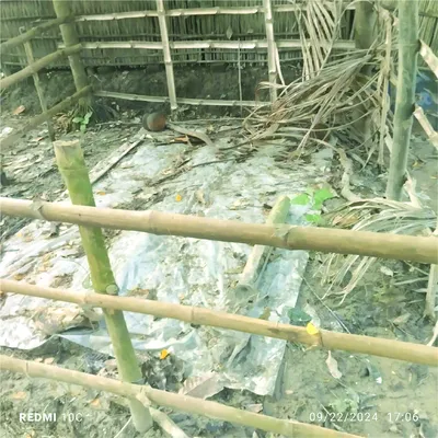 মোশারফ