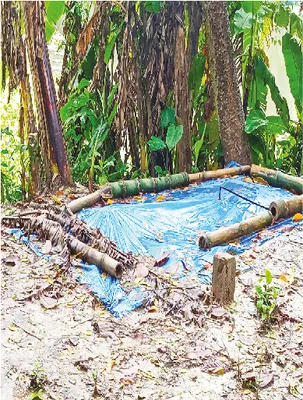 মো: মিজানুর রহমান
