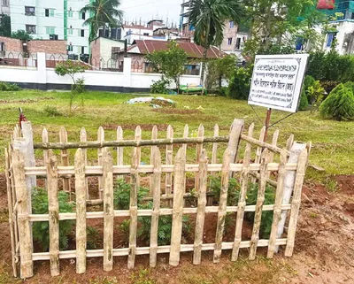 রিদোয়ান শরীফ রিয়াদ (জয়)