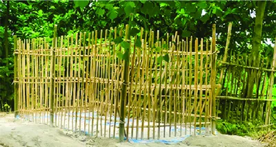 মো: রবিউল ইসলাম রাহুল