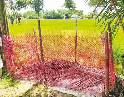 মো: শাহজাহান