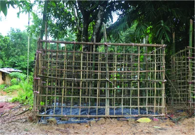 মো: নুর মোস্তফা