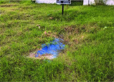 ইমরান হাসান