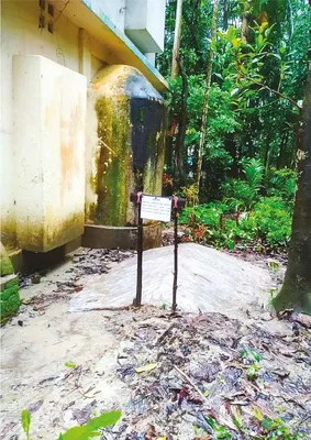 মো: নাঈম