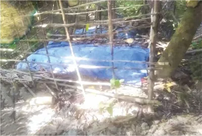 আমির হোসেন
