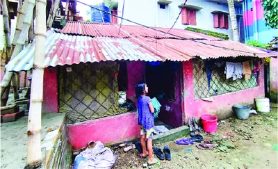 মেহেদী হাসান আলিফ
