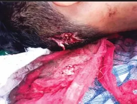 মো: সোহাগ মিয়া