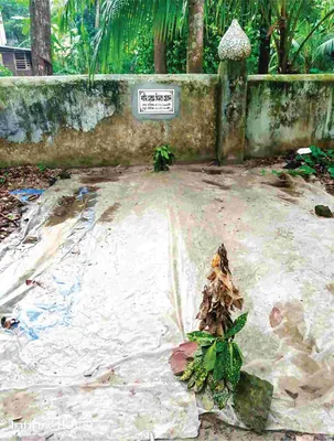 মোঃ সিফাত হোসেন