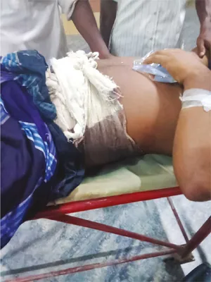 মো: মিরাজুল ইসলাম