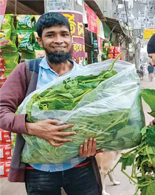 আলী হোসেন
