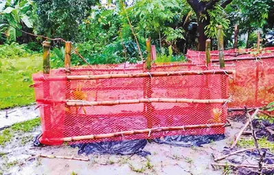 মো: আরিফ
