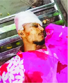 মো: নিজাম উদ্দিন ইমন