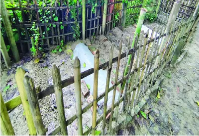 মো: সাকিবুল হাসান মাহি