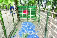 মো. শাহিন মাহমুদ শেখ