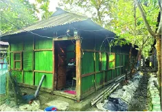 মো: মামুন হোসেন