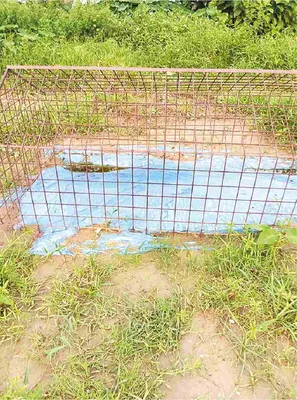 ওবায়দুল ইসলাম