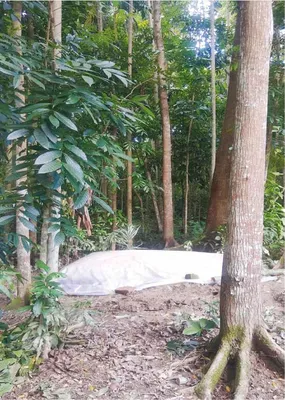 মোঃ সাইফুল ইসলাম