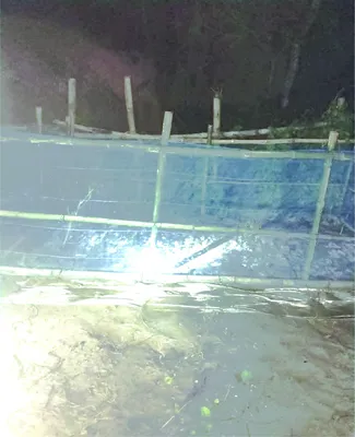 আশরাফুল হাওলাদার