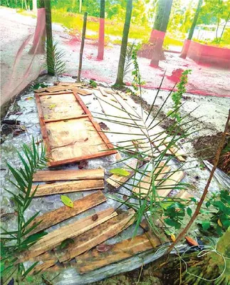 মো: সাইফুল ইসলাম