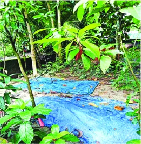 মো: রুবেল