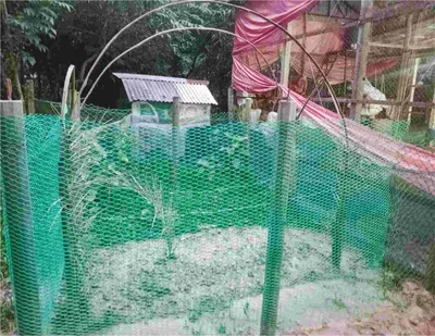 তোফাজ্জল হোসেন খান