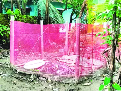 মো: আবু বকর ছিদ্দিক