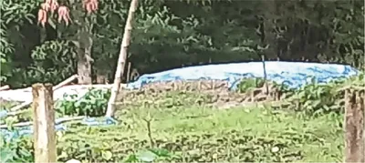 মো: সোহেল আখঞ্জি