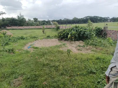 রাইফা