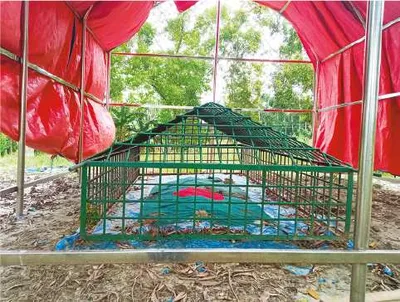 মো: আশিক মিয়া