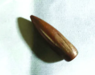 মিনহাজ আহমদ