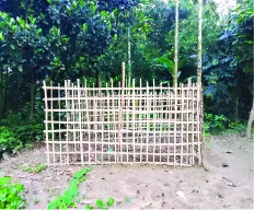 আ: আজিজ