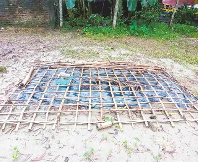 মো: জুবায়ের আহমেদ