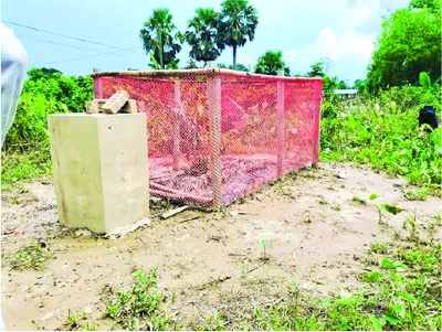 ইশতিয়াক আহমেদ