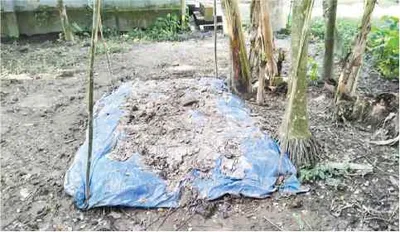 সাব্বির ইসলাম