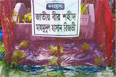 মো: মাহমুদুল হাসান রিজভী