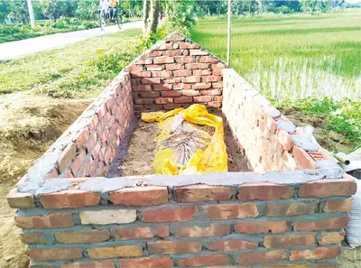 মো: মাজিদুল