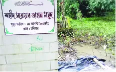 মো: সরোয়ার জাহান মাসুদ
