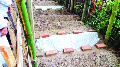 মেহেদী হাসান আলিফ