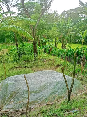 মো: রিয়াজুল ইসলাম