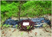 মোহাম্মদ ইসমামুল হক