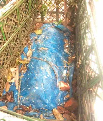 মো: কালাম