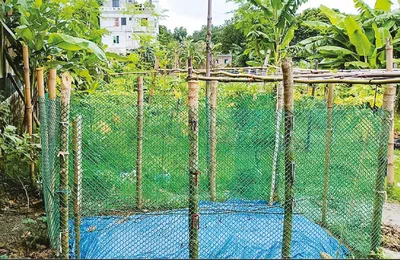 মো: জোবায়ের বেপারী