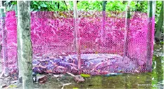 মো: ওয়াকিল আহমদ শিহাব