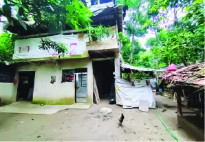 এম এম তৌহিদুর রহমান