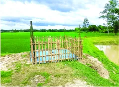 শাহাদাত হোসেন